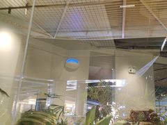 -米纸越南小馆(砂之船店)