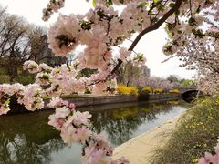 -元大都城垣遗址公园