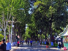 -人民防洪胜利纪念塔