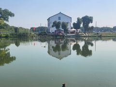 -水岸居湖景农家乐·阳澄湖大闸蟹