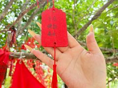 -小河无名面馆
