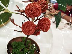 -金华安大酒楼·老牌潮菜·粤式茶点(东方国际店)