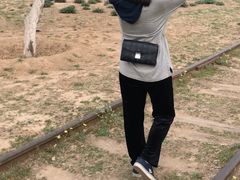 -永定河休闲森林公园