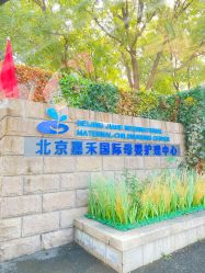 点击看大图 -北京嘉禾医疗