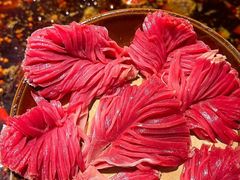 -渝嘴小老弟老火锅(华新村店)