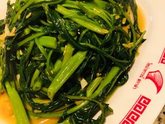 -中国城银都鱼翅酒楼
