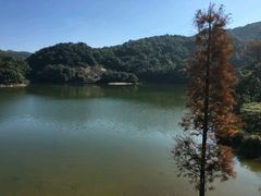 -广州市石门国家森林公园