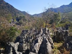 -千岛湖石林