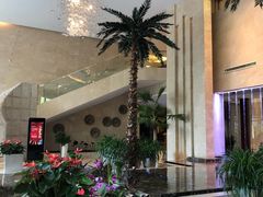 -常州环球恐龙城维景国际大酒店
