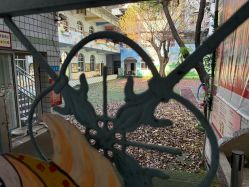 -重庆医科大学附属儿童医院(渝中院区)