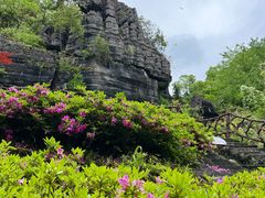 -梭布垭石林景区