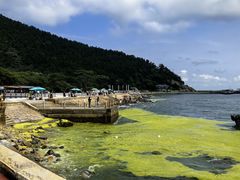 -青岛崂山太清宫