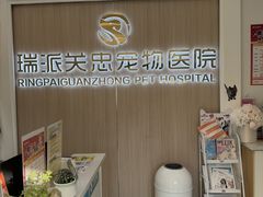 -瑞派·关忠动物医院·猫专科·犬专科(三环新城店)