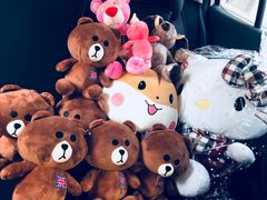 -PAWTOY爪e玩偶店(天兴罗斯福店)