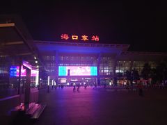 -海口东站