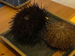 -海胆小馆(东北水饺·春柳店)