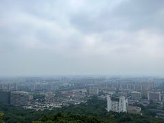 -杭州半山国家森林公园