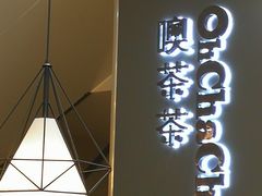 -噢茶茶Oh Cha Cha