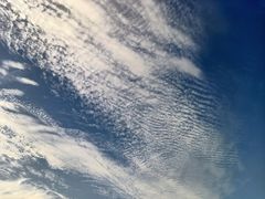 -哈曼度假酒店哈宝家庭餐厅(大东海店)