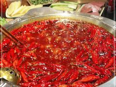 -大龙火锅(老店)