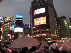 -涩谷区
