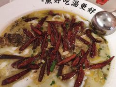 -江渔儿酸菜鱼(曜一城店)
