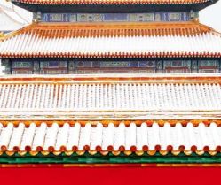 -麦粒鸟亲子游