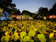 -杭州西子湖四季酒店·金沙厅