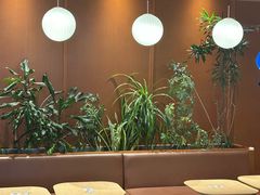 -奈雪的茶(印象城店)