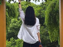 -苏州上方山国家森林公园