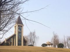 -成都保利公园皇冠假日酒店(熊猫基地店)
