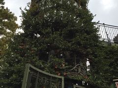 -三鹰之森吉卜力美术馆