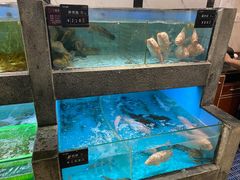-徐记海鲜(创始1999|伍家岭店)