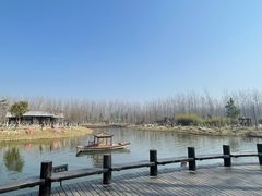 -合肥滨湖国家森林公园