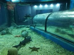 -福州罗源湾海洋世界旅游区