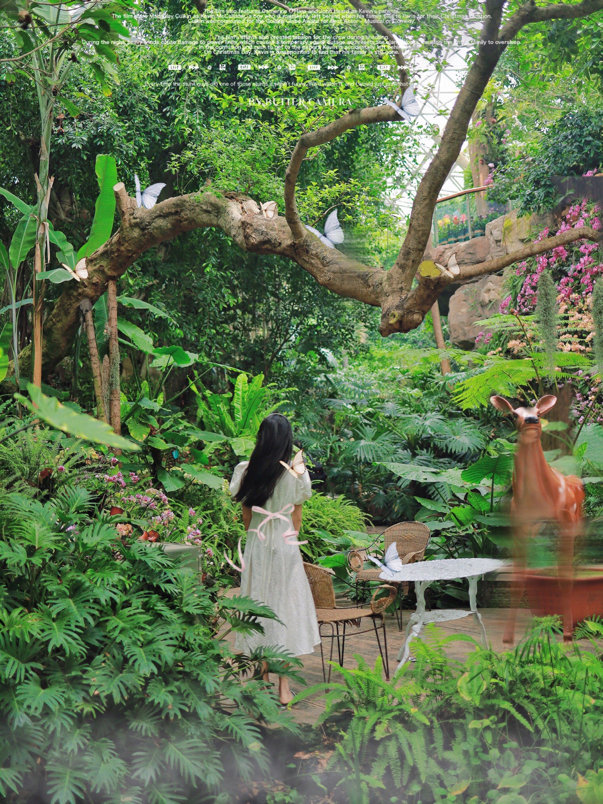 青岛的小众爱丽丝梦游仙境|真的太美了