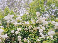 -南山风景名胜区