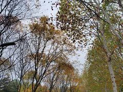 -重庆中央公园(渝北区)