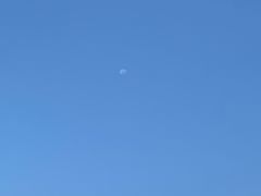 -天河体育中心游泳馆