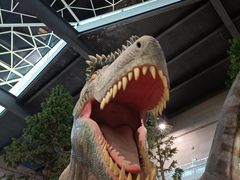 -湖南省地质博物馆