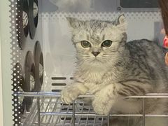 -中农国际动物医院24小时·猫科·骨科·急重症中心