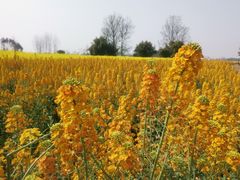 -中国天府农业博览园