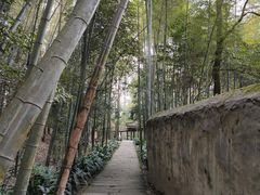 -缙云山景区