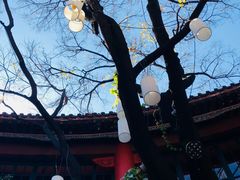 -醉云喃