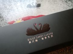 -BLACKSWAN黑天鹅(环球店)