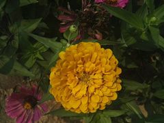 -北京东方普罗旺斯薰衣草庄园