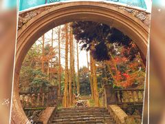 -莫干山风景区