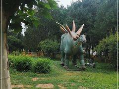 -青龙湖公园