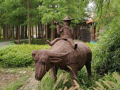 -溱湖国家湿地公园