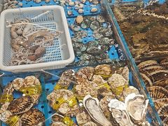 -大连湾旭日·家宴·海肠捞饭(马栏广场店)
